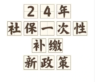 社保一次性补缴新规定2024