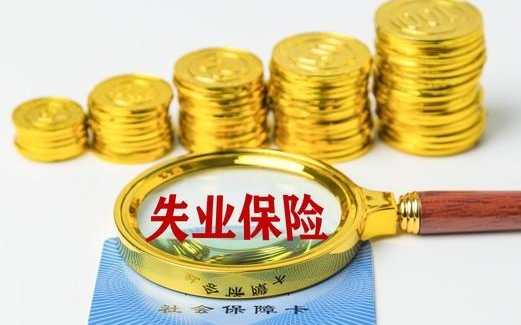 失业金可以领几个月,一个月多少钱