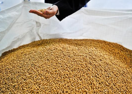 2024年粮食补贴一亩地多少钱