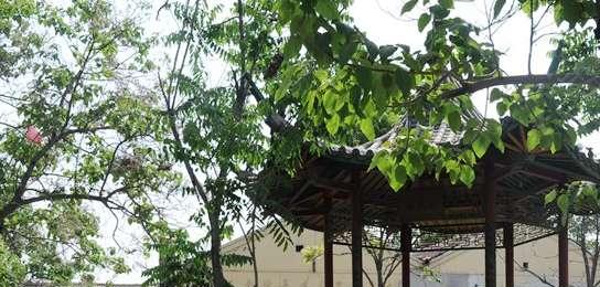 北京市昌平区歇甲村田园风光养老院