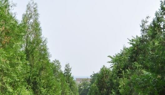 北京市延庆区张山营镇龙聚山庄敬老院