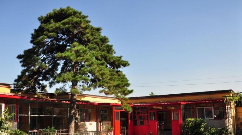北京市海淀区益康敬老院