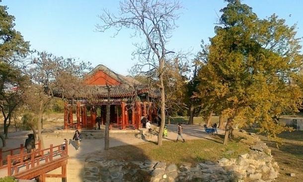 大兴团河北村幸福晚年驿站