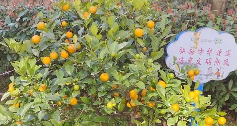 上海闵行区老年福利院
