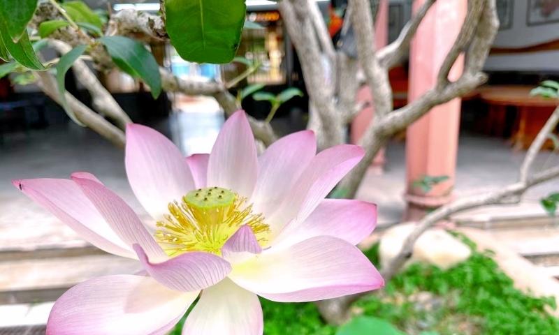 东莞德福护理院