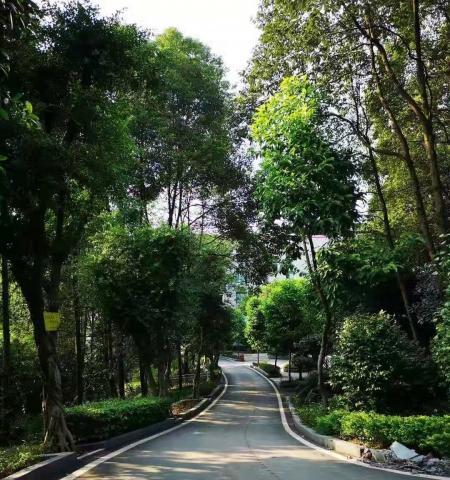 重庆市巴南区狮子山老年公寓