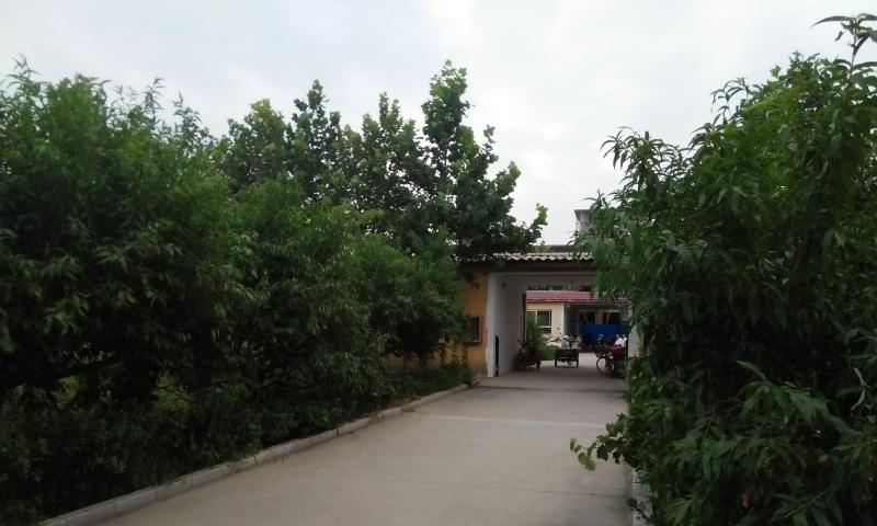 老年乐养老院