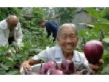 山东省聊城市东昌府区许营镇敬老院